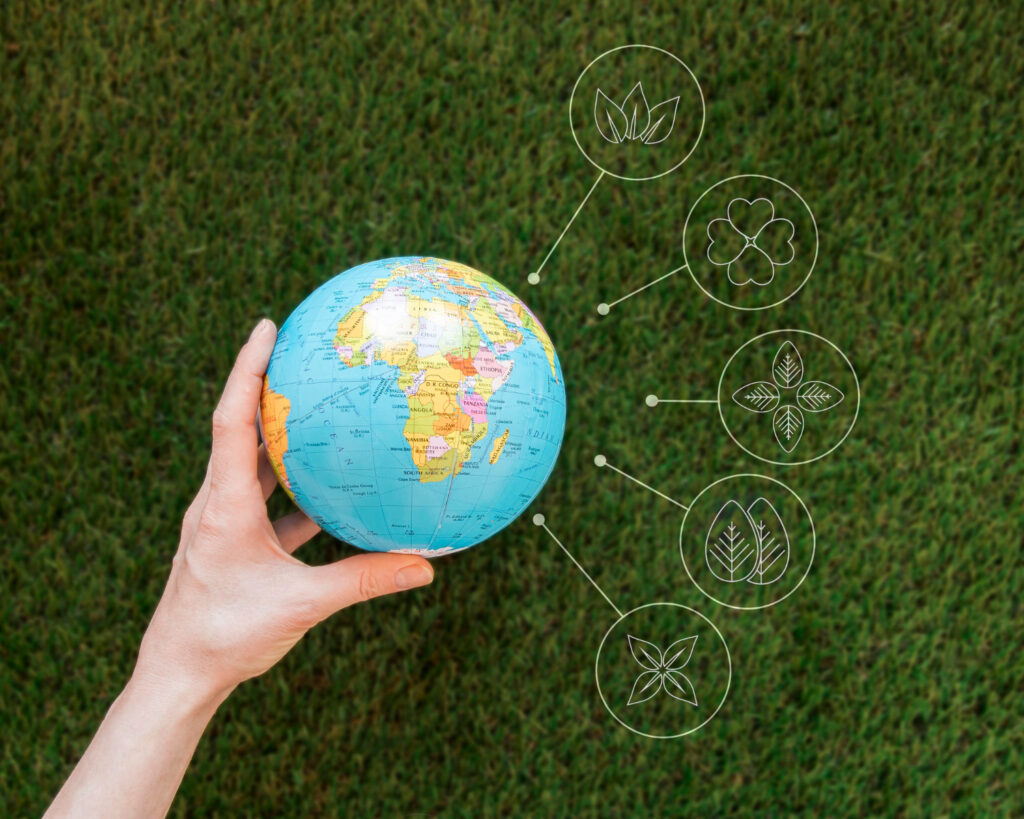 Sustentabilidade e Meio Ambiente